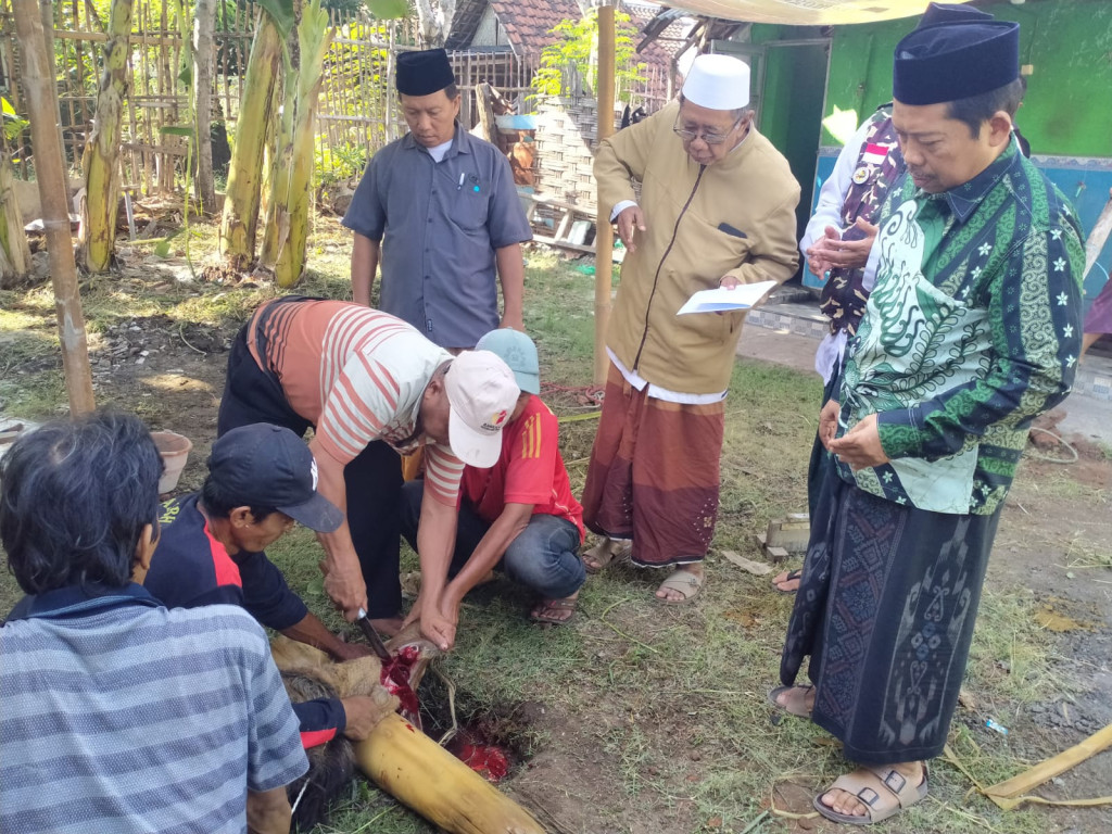 Penyembelihan Hewan Qurban Komunitas Lentera Hati Radio Suara Pasuruan